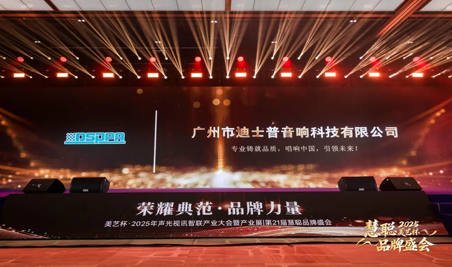 DSPPA | Shines at the 2025 Huicong Brand Event with Top Honors - 翻译中...